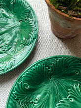 Load image into Gallery viewer, A Pair of Majolica Plates.
