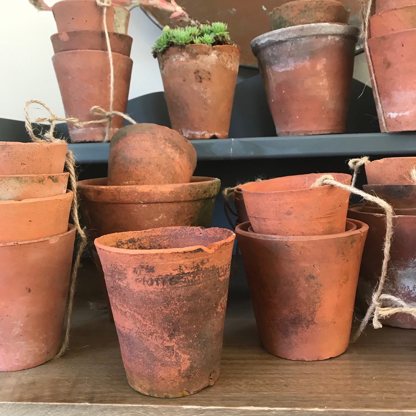 Set of Four Old Terracotta Pots.